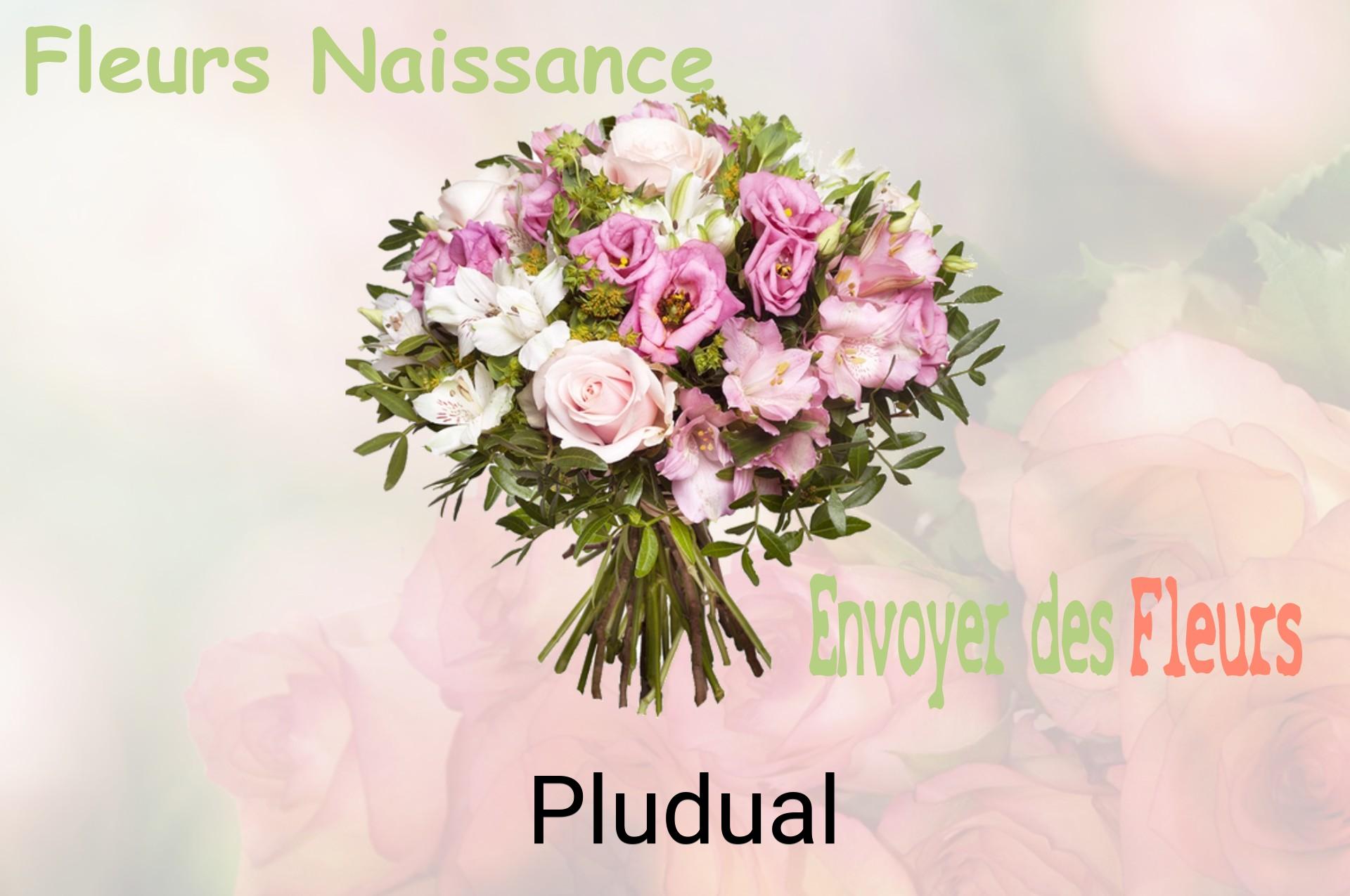 Bouquet de fleurs de naissance livré à Pludual