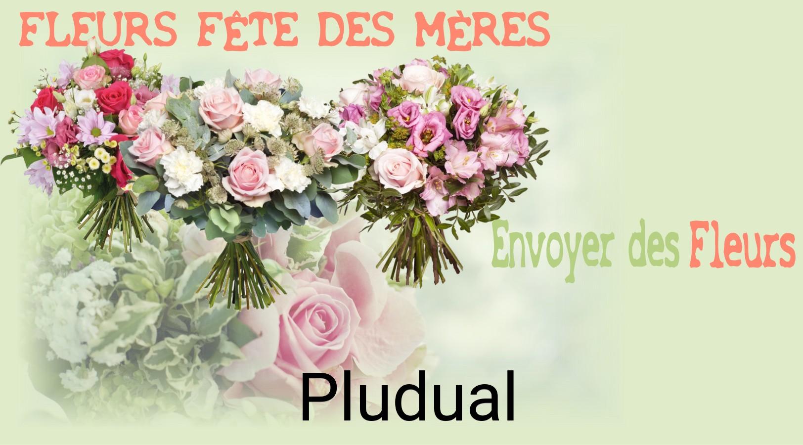 Bouquet de Fête des Mères livré à Pludual